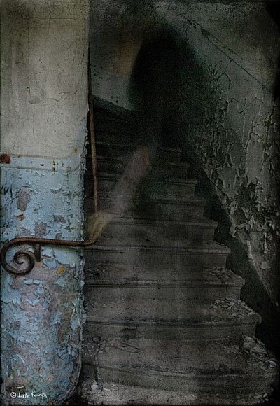 Paranormal investigations